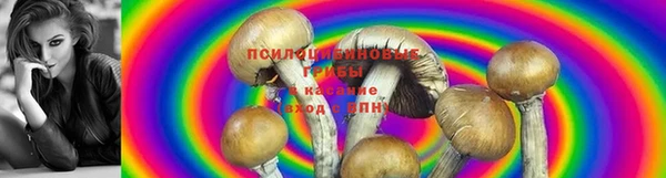 героин Карпинск