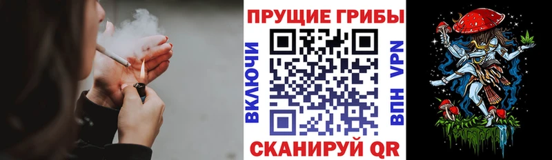 Купить закладки  Бакал  Галлюциногенные грибы GOLDEN TEACHER 